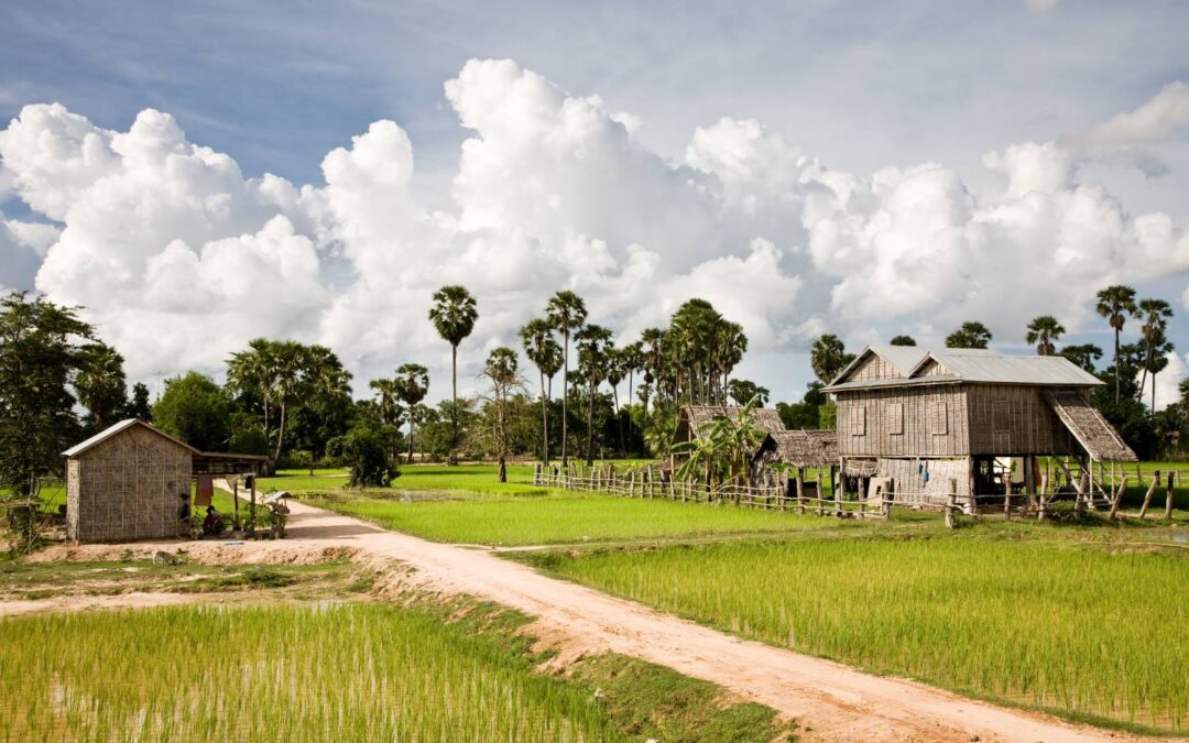 Agri-Inputs and One Health in Cambodia: Pathways to Enhanced Agricultural Resilience